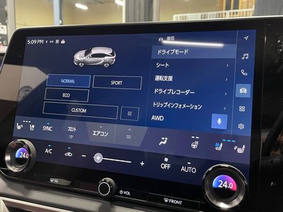 2025 Lexus RX 缩略图 22