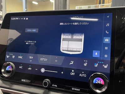 2025 Lexus RX 缩略图 21