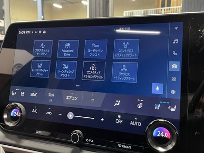 2025 Lexus RX 缩略图 18