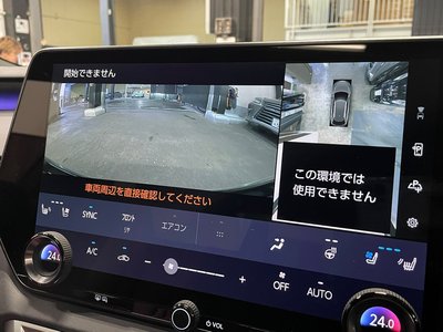 2025 Lexus RX 缩略图 17