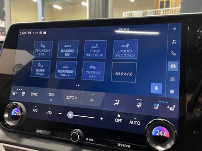 2025 Lexus RX 缩略图 19