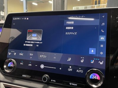 2025 Lexus RX 缩略图 20
