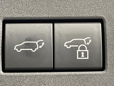 TOYOTA LAND CRUISER 250 - 7