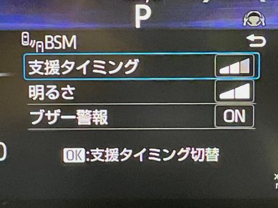 TOYOTA LAND CRUISER 250 - 6