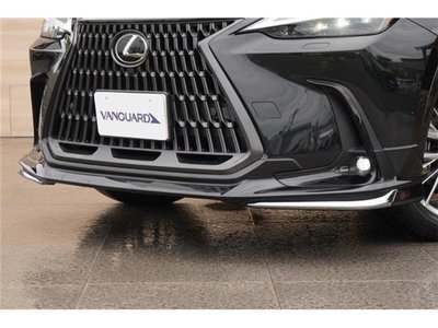 LEXUS NX - 6