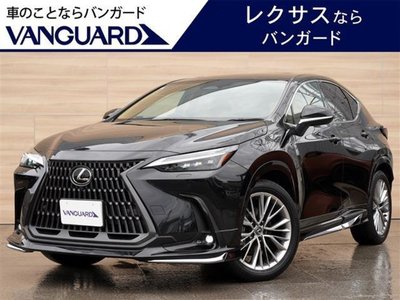 LEXUS NX - 1