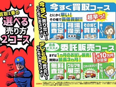 TOYOTA LAND CRUISER PRADO - 3