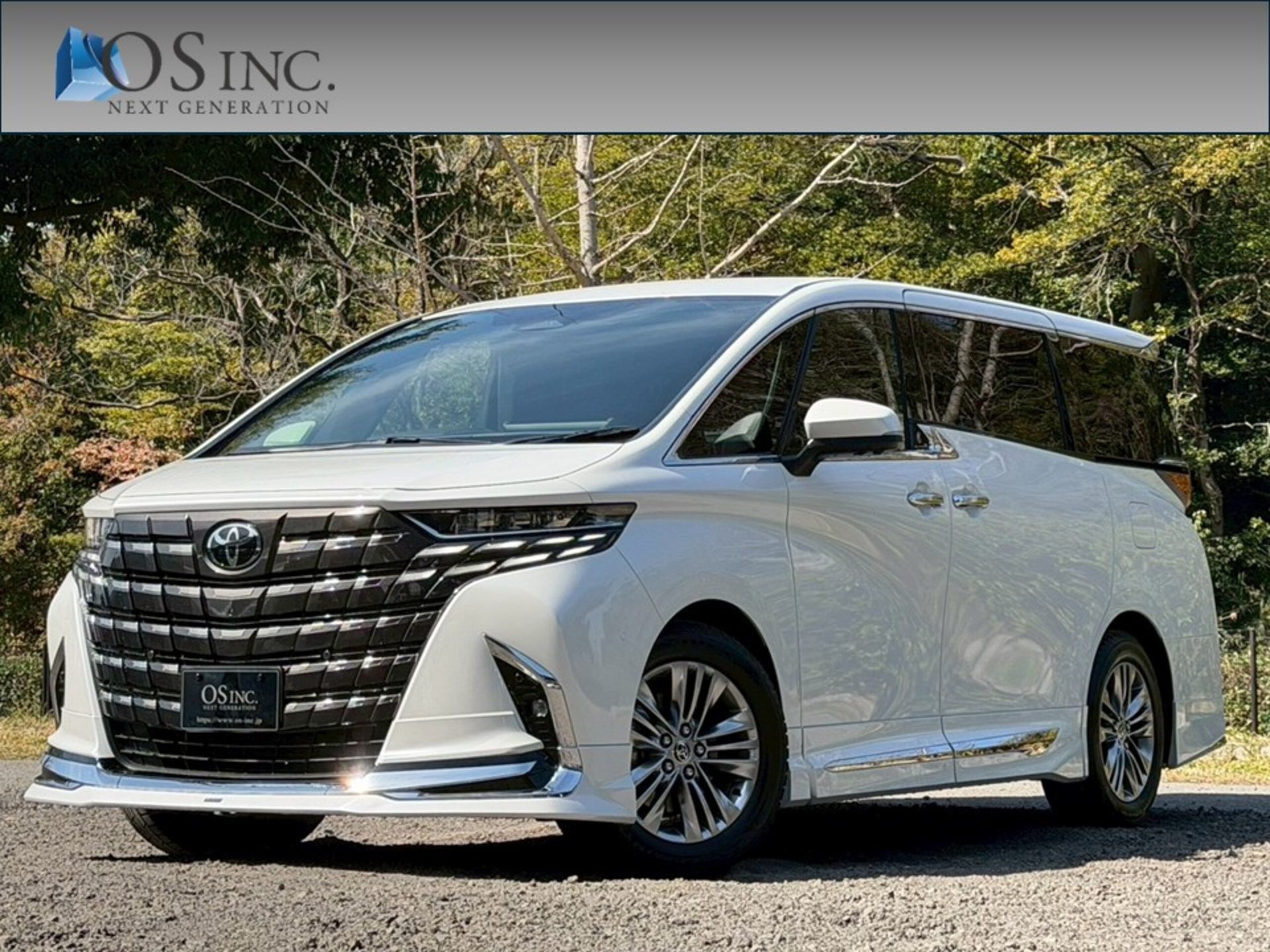 TOYOTA ALPHARD - View 1
