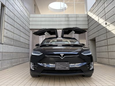 TESLA MODEL X - 1