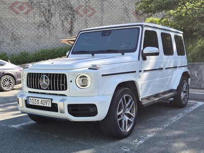 MERCEDES-BENZ G-CLASS - 1