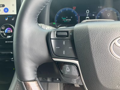 2025 Toyota ALPHARD — миниатюра 39