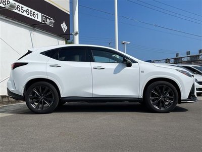 2023 Lexus NX 缩略图 33