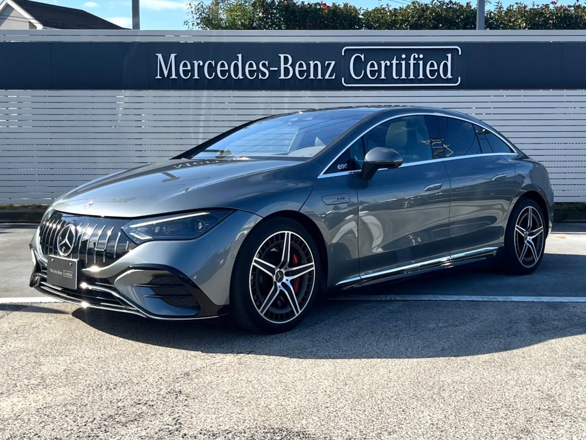 MERCEDES-BENZ EQE AMG - View 1