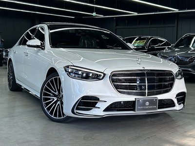 2022 Mercedes-BENZ S-CLASS — миниатюра 19