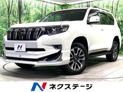 TOYOTA LAND CRUISER PRADO - 1