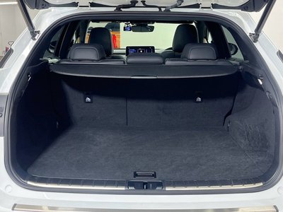 صورة مصغرة 32 لـ 2021 Lexus RX