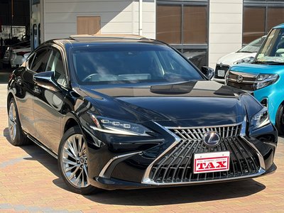 2021 Lexus ES — миниатюра 11