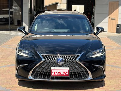 2021 Lexus ES — миниатюра 12