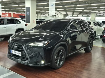 صورة 1 لـ 2025 Lexus NX
