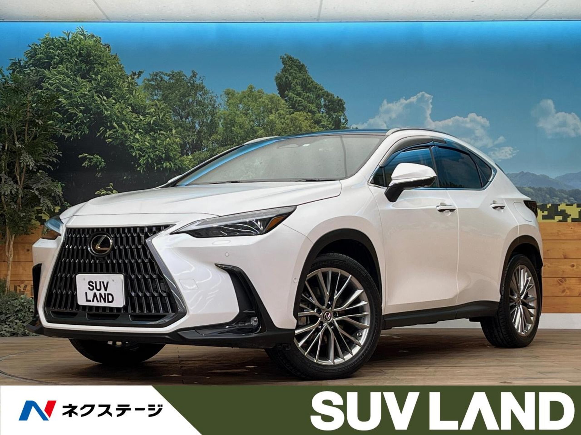 LEXUS NX - View 1