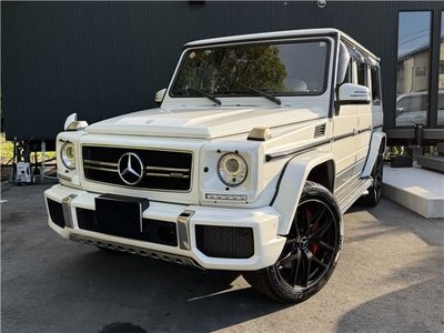 MERCEDES-BENZ G-CLASS - 1