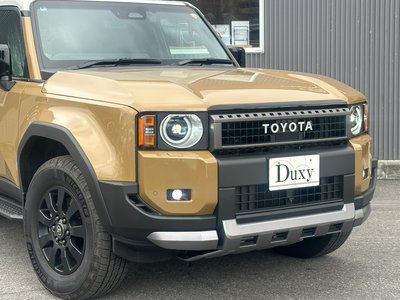 TOYOTA LAND CRUISER 250 - 6