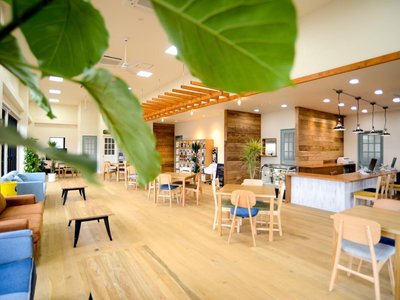 TOYOTA LAND CRUISER 250 - 2