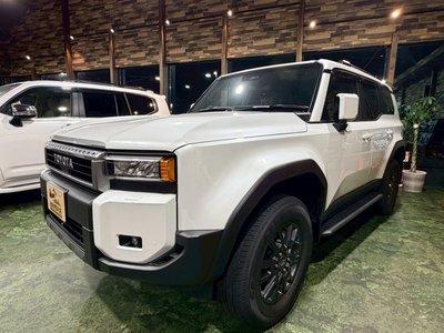 TOYOTA LAND CRUISER 250 - 10