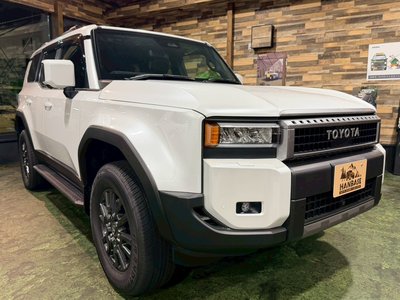 TOYOTA LAND CRUISER 250 - 3