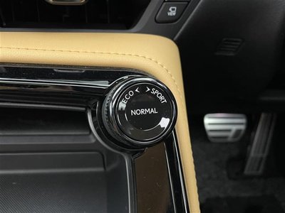 2023 Lexus NX thumbnail 16