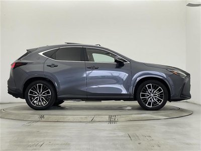2023 Lexus NX thumbnail 38
