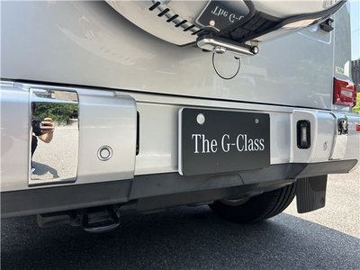2019 Mercedes-BENZ G-CLASS — миниатюра 50