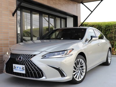 LEXUS ES - 10