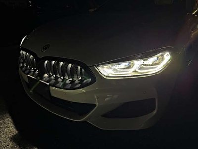 2022 BMW BMW 8 SERIES 缩略图 18