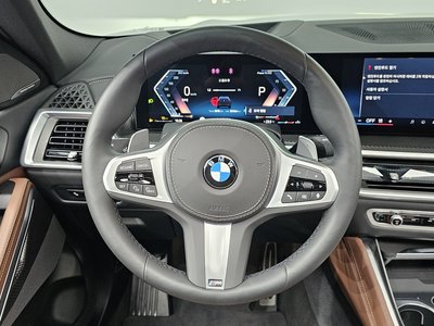2025 BMW X6 — миниатюра 19