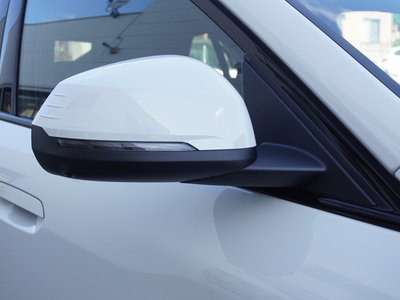 2026 BMW IX2 照片 6