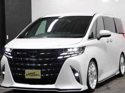 2024 TOYOTA ALPHARD 缩略图 46