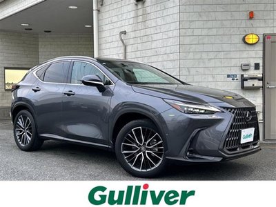 LEXUS NX - 1