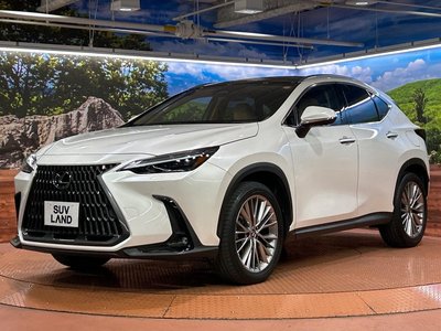 2023 Lexus NX thumbnail 66