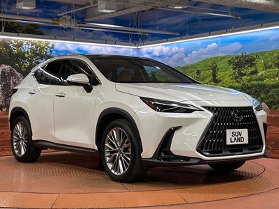 2023 Lexus NX thumbnail 16