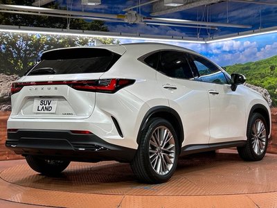 2023 Lexus NX thumbnail 17