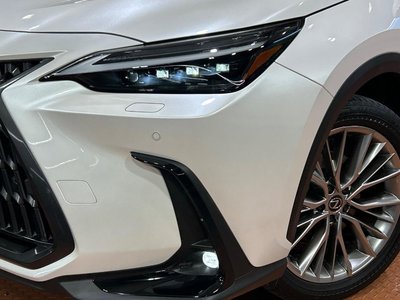 2023 Lexus NX thumbnail 12