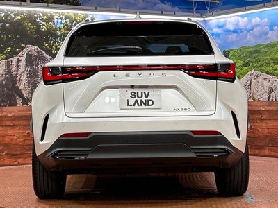 2023 Lexus NX thumbnail 15