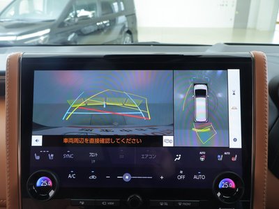 TOYOTA VELLFIRE - 10