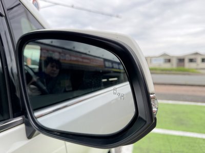 2020 Toyota ALPHARD thumbnail 14