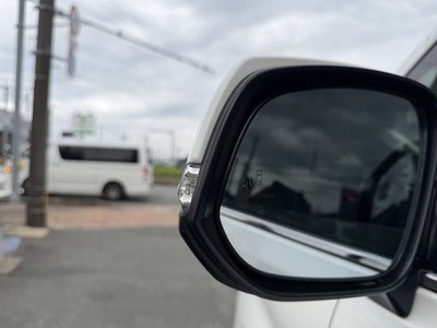 2020 Toyota ALPHARD thumbnail 16