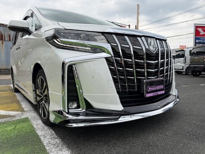 2020 Toyota ALPHARD thumbnail 11