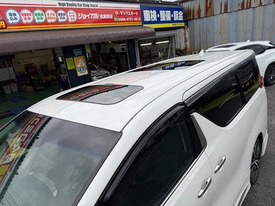 2020 Toyota ALPHARD thumbnail 22