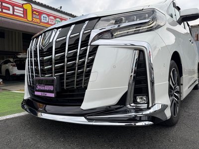 2020 Toyota ALPHARD photo 9