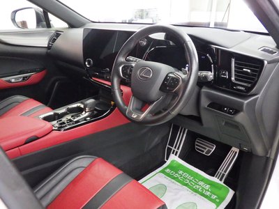 LEXUS NX - 10
